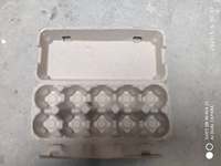Ligne de production entièrement automatique de barquettes/cartons à œufs en papier de type marocain, moules de formage 4/8/16/32, processus CNC, certifié ISO9001