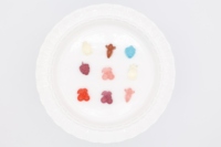 Eye-Catching Bite-Size Mini Gummy Candy Fruit Mix Sugar Coated for Dessert Toppings Bakery Decoration