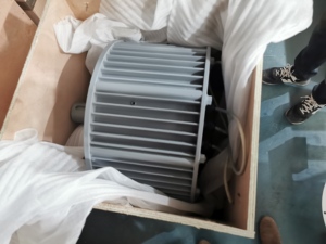 Generador/Alternador de Imán Sin Escobillas de Baja Velocidad (10kW, 300 RPM, 50Hz, 220V) en Venta - Product Image 3