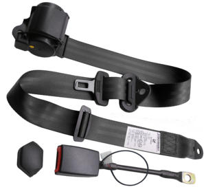 <span class=keywords><strong>Ceinture</strong></span> <span class=keywords><strong>de</strong></span> <span class=keywords><strong>sécurité</strong></span> automobile rétractable à 3 points R200, verrouillage d'urgence du <span class=keywords><strong>conducteur</strong></span>, pièces <span class=keywords><strong>de</strong></span> rechange pour voiture, certifiées pour la <span class=keywords><strong>sécurité</strong></span> automobile - Product Image 3