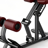 Chaise romaine professionnelle réglable pour extension dorsale et hyperextension, idéale pour les centres de fitness et la musculation