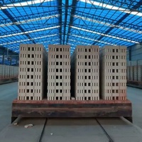 Sécheur de briques entièrement automatique / Machine à briques rouges en argile au charbon de bois / Petit four tunnel pour l'usine automatique de briques en argile
