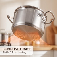 Marmite de cuisson en acier inoxydable avec couvercle, base multicouche, compatible induction et gaz, fournisseur OEM d'articles de cuisine en gros