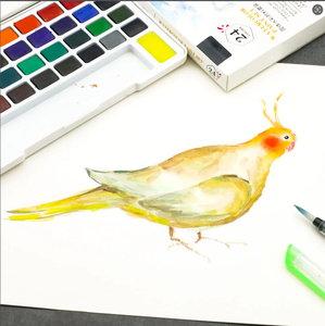 BeCreative – Kit de Peinture à l'<span class=keywords><strong>Aquarelle</strong></span> Solide 24 Couleurs Personnalisables, <span class=keywords><strong>Prix</strong></span> de Gros, avec Pinceau à Eau et Bloc de Dessin - Product Image 6