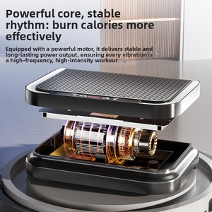 Plateforme vibrante ABS pour la <span class=keywords><strong>perte</strong></span> <span class=keywords><strong>de</strong></span> <span class=keywords><strong>poids</strong></span>, machine pour affiner le ventre, la taille, les jambes, le bas du ventre, réduction <span class=keywords><strong>de</strong></span> la graisse, réglage à 200 niveaux - Product Image 2