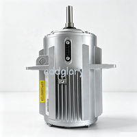 Moteur de ventilateur Carrier 00PPG000007204 0,75 kW 380 V 3PH pour refroidisseur à air 30RB 30RQ, ventilateur Flying Bird IV, pièces de réfrigération CVC