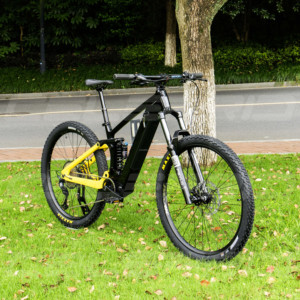 Vélo de montagne léger à pneus larges 29"*2.5, 12 vitesses, moteur central 750W, freins à disque hydrauliques, 45 km/h, EAM-2 - Product Image 1