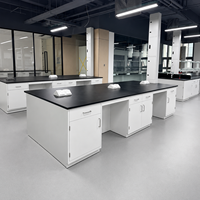 Îlot de laboratoire sur mesure tout acier avec colonne de service, évier, station de lavage des yeux et support à réactifs