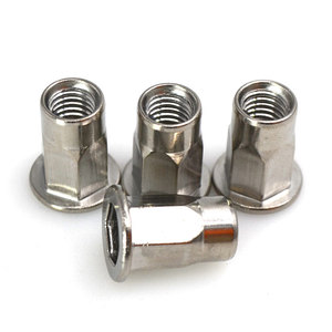 <span class=keywords><strong>Ss304</strong></span> Thép Không Gỉ Giảm Hex Head-Bên Trong Hex Đinh Tán NUT - Product Image 2