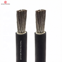 Câble de bobinage de moteur pour équipement électrique industriel JBQ 300/500V 0,66/1,14kV résistant à la chaleur pour connexion de boîtier de terminaison