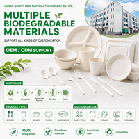 Cuillère à dégustation de crème glacée biodégradable colorée en CPLA, 101 mm, écologique, jetable, mini-cuillère à dessert