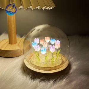 Luz de noche de tulipán Diy decorativa <span class=keywords><strong>para</strong></span> el hogar, Mini lámpara de flores de tulipán de luz de noche de <span class=keywords><strong>bola</strong></span> de cristal de tulipán Led - Product Image 2