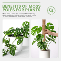 Poteau totem empilable en bois écologique résistant au vent de 12 à 16 pouces, personnalisé, pour soutenir les plantes en pot et les plantes grimpantes