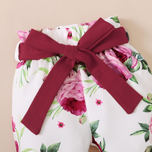 Keli Bé Cô Gái Ngắn Tay Áo Tam Giác Romper Mùa Hè Hàng Đầu Thiết Lập Dễ Thương Cotton Ren Quần 0-3 Tháng Quần Áo Hoa Vành Đai Thư Thiết Kế - Product Image 6