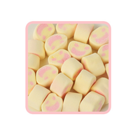 Vente chaude Fruité Personnalisé Aromatisé En Forme De Pastèque Guimauve Bonbons Usage Quotidien Emballé Dans Un Sac