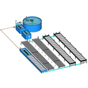 OMANA Aquaponic生长系统设置鱼类和蔬菜的浮筏泡沫Aquaponics系统