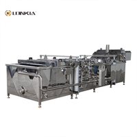 Automatische Blancheerapparatuur Fruit Groentechips Groene Bonen Mango-Tomatenblancheermachine