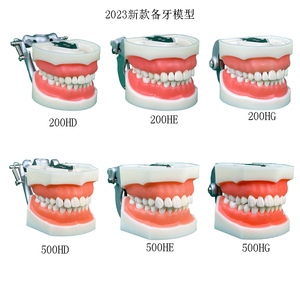 Nhà máy HOT salesoft gingiva nha khoa mô hình nha khoa bột giấy sứ Veneer nha khoa tiêu chuẩn 28 có thể tháo rời răng - Product Image 5