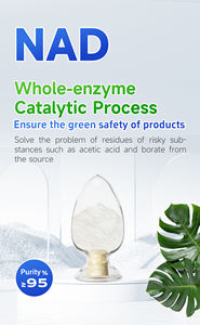 Beta-Difosfopyridine Nucleotide 99% Zuiverheid Aloë Vera Kruidenextract <span class=keywords><strong>Nicotinamide</strong></span> <span class=keywords><strong>Adenine</strong></span> <span class=keywords><strong>Dinucleotide</strong></span> Vitamine Poeder Voedsel - Product Image 2