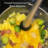 Fabrieksgroothandel Ananas Pruim Groene Sinaasappel Gemengde Fruitthee Zoet Geurende Individuele Thee Zakjes 10g Bulk FD Water