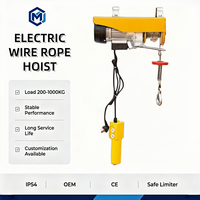 Palans électriques portables silencieux 110V 220V monophasés sans fil Pa500a pour la maison, le garage et le commerce