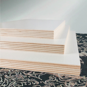 Plaque de plâtre ignifuge et résistante à l'eau avec surface en papier au design contemporain pour hôtels et projets de construction extérieure - Product Image 5