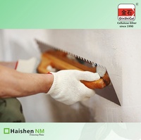 Hydroxypropyl Méthyl Cellulose Éther D'amidon (HPS) Pour Mortier