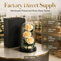Vente en gros de roses éternelles Beauty Beast Prince 15*30cm, rose préservée dans un coffret cadeau en verre pour petite amie - Saint-Valentin, Noël