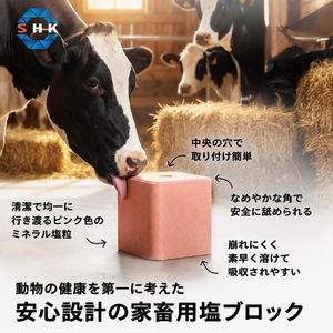 Bloc de sel minéral Gold Coat pour animaux, blocs à lécher pour bovins, blocs minéraux, blocs de sel à lécher pour moutons, vaches, cerfs, chevaux - Product Image 3