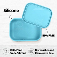 Usine Étanche Compartiment Enfant Snack Fruit Pack Silicone réutilisabilité nettoyage facile Conteneur De Stockage Des Aliments Boîte À Lunch