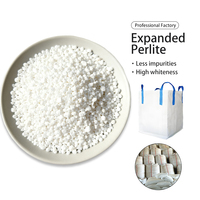 Perlite multi-mesh de qualité horticole pour projets de jardins et de semis – Grande quantité disponible