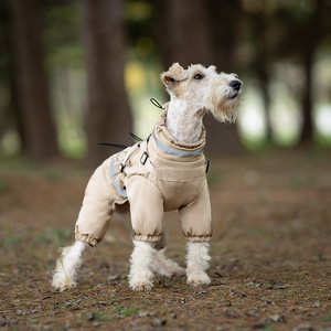Luxury Dog Clothes With <strong>Harness</strong> Coat Warm <strong>Designer</strong> Pet Clothing Dog Clothes Luxury Fash for Small <strong>Puppy</strong> Medium - Product Image 2