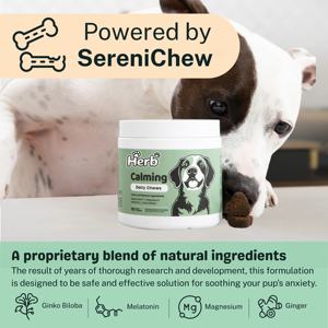 Complément alimentaire apaisant sous forme de friandises molles pour chiens, marque privée OEM/ODM, pour soulager l'anxiété et le stress, avec camomille et mélatonine apaisante - Product Image 3