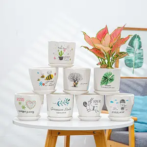 Wholesale Ceramic Planter with Tray 2023 Wish Hot Sale Horticulture Flowerpot Large Green Plant Pot Creative Succulent Planter