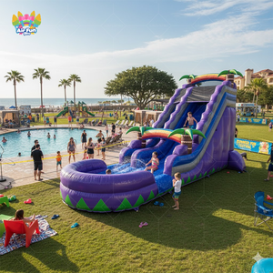 Tobogán acuático tropical inflable al aire libre <span class=keywords><strong>para</strong></span> niños y <span class=keywords><strong>adultos</strong></span> <span class=keywords><strong>para</strong></span> fiestas Producto de <span class=keywords><strong>castillo</strong></span> inflable <span class=keywords><strong>para</strong></span> niños - Product Image 4