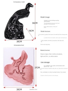 पुरातत्व जीवाश्म पुनर्स्थापना मॉडल प्लास्टिक कंकाल मॉडल ऑर्निथोसे वर्गीकरण पक्षी मूल विकास - Product Image 6