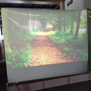 Vật liệu màn hình máy chiếu màu đen dính phía sau chiếu phim - Product Image 3