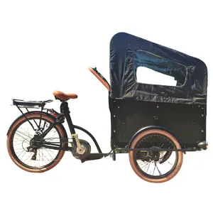 europe style 3 wheel electric cargo tricycle for take kids front loading wood box family electric cargo trike