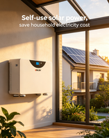ENLZH Lifepo4 51.2 V Solar dan Penyimpanan Baterai 15kwh 300ah Baterai Lithium Mudah Dipindahkan dengan Roda