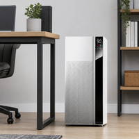 Humidificateur d'air évaporatif de haute qualité 20L, diffuseur portable personnel, humidificateur à brume pour peaux sèches