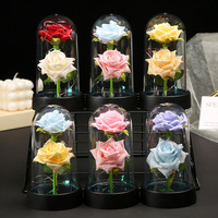 Künstliche Blumen Zweifarbige Rose mit Plastikkuppel LED-Tischlampe für Valentinstag/Geburtstagsgeschenke Großpackung Desktop-Figur