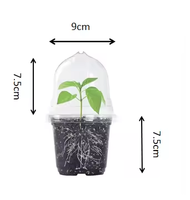 Kit Propagator Plastik PET Transparan Tebal Ramah Lingkungan 3,5" 4" 5" untuk Bibit, Cawan Semai, dan Kubah Kelembapan untuk Penggunaan di Kebun