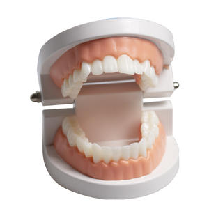 Modelo de Carillas Dentales con Funciones de Adhesión y Remoción para Prácticas de Enseñanza de Simulación, Equipo Educativo - Product Image 1
