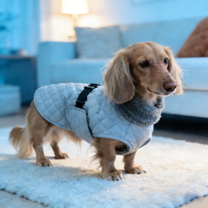 Abrigo de Invierno para Perros, Diseño Personalizado de Lujo, <span class=keywords><strong>Impermeable</strong></span>, para Perros Dachshund, Ropa Cálida para Mascotas, OEM/ODM 2026 - Product Image 1