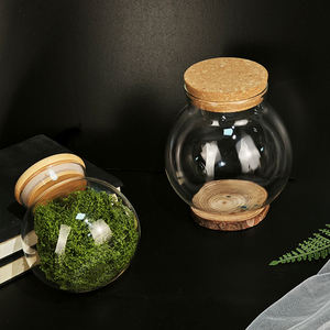 Pot en verre transparent exquis liège Micro paysage bouteille écologique Terrarium conteneur Aquarium veilleuse réservoir de poissons décor verre - Product Image 3