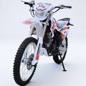 Nouvelle moto tout-terrain Ludi 250CC, ATV 4x4, véhicule tout-terrain électrique, moto de cross haute puissance, moto de course pour adultes, directement du fabricant - Product Image 2