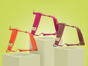 สายรัดอกสุนัขกันน้ำและกันน้ำกระเซ็น พร้อมคลิปหน้า/หลังและหัวเข็มขัดสีทอง - ของขวัญสำหรับสัตว์เลี้ยง - Product Image 2