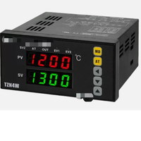 Contrôleur de température haute performance neuf en boîte TZN4W-14R pour usage industriel