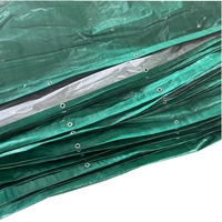 Bâche en plastique PE de couleur argent vert 120 GSM pour le marché européen, imperméable, pour couvrir les meubles, les voitures
