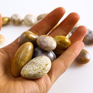 Bán Buôn Đánh Bóng Chữa Bệnh Sỏi San Hô Tự Nhiên Hóa Thạch Tumbled Stones Hóa Thạch Vỏ Sò Palm - Product Image 5